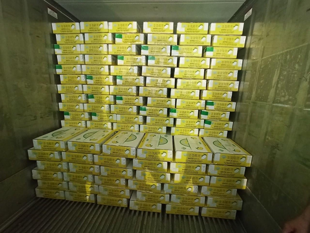 9e03d4_07bc0e54928442fcba0a430db9d795fb~mv2