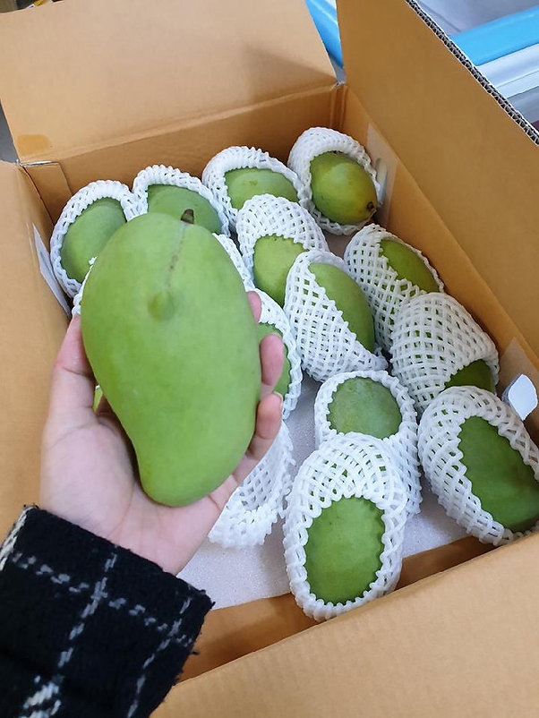 9e03d4_364cfe4caaf8404e93b547627af8ccd4~mv2