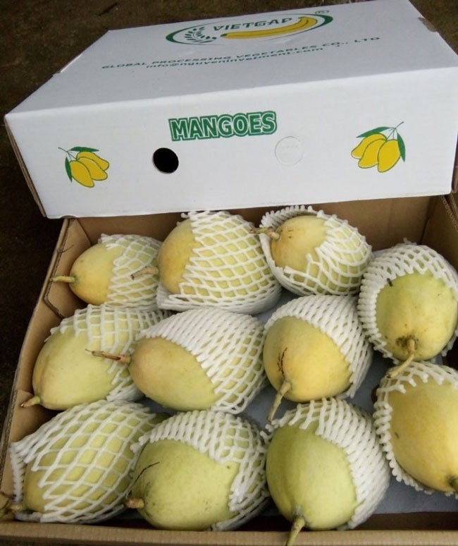 9e03d4_dc17188ad3dc4a36a13315508b9439b9~mv2